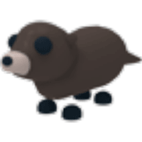 Otter  - Common from Retired Egg